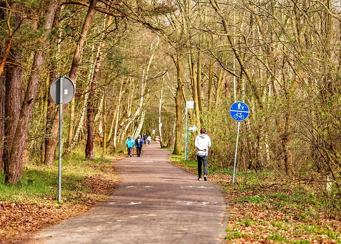 Surf I Grzybowo (West Pomeranian)